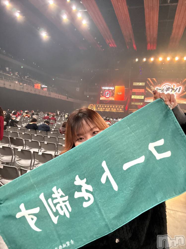 ƲХ顦151-A() 33̥֥33 2022ʬΥ֥