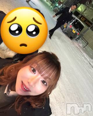 ƲХ顦151-A() (18)28̥֥28 1931ʬΥ֥