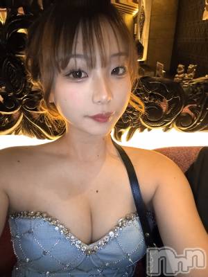 ƲХ顦151-A() (18)223̥֥223 0232ʬΥ֥