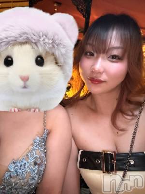 ƲХ顦151-A() (18)31̥֥31 2138ʬΥ֥