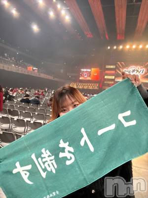 ƲХ顦151-A() (18)33̥֥33 2022ʬΥ֥