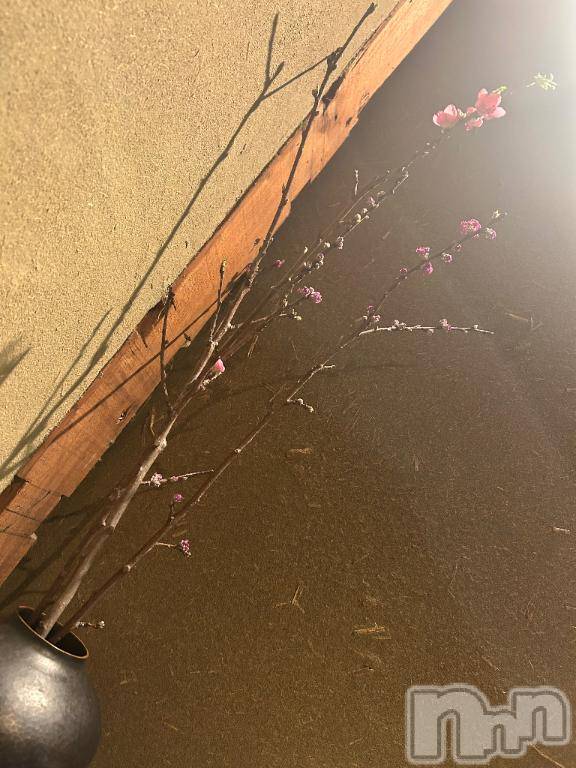 新潟ソープ新潟バニーコレクション(ニイガタバニーコレクション) ミヒロ(20)の2月22日写メブログ「おはよう☀️」