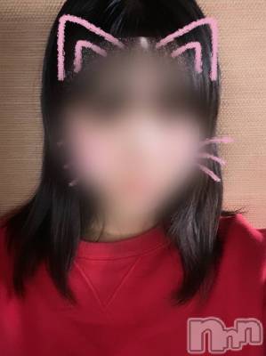 ڿۤ͡Ȥ(20) Ĺ159cmȯѥ˥󥯥 㥳ѥ˥ -϶15ǯοȼ-(˥ѥ˥󥹥)ҡ