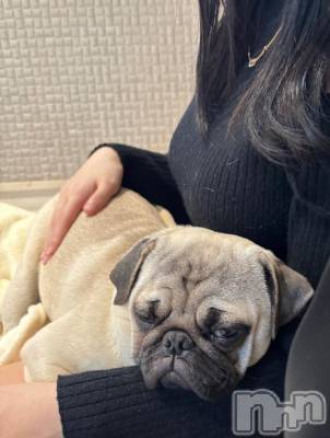 長岡デリヘル 純・無垢(ジュンムク) めぐ☆プラチナ(21)の2月21日写メブログ「休日」