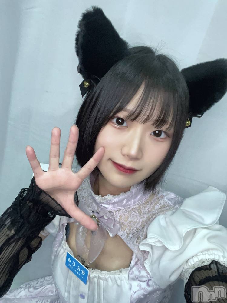ĮåȥСᥤɥեLINK(ᥤɥե) 椢16ֿ̥֥ǯж⛩️🎶