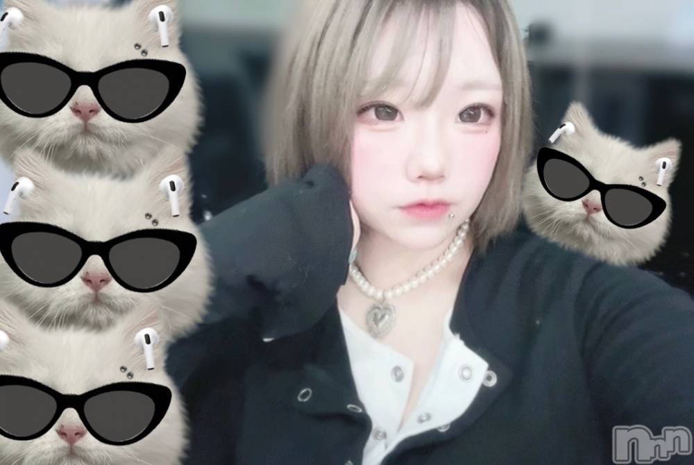 ĮåȥСᥤɥեLINK(ᥤɥե) Ҥʤ211̥֥֤κ
