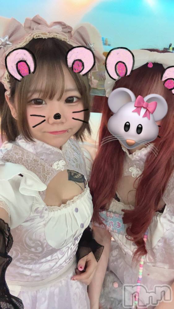 ĮåȥСᥤɥեLINK(ᥤɥե) ޤ217̥֥֤Ϥäԡ⤫Ǥ💓