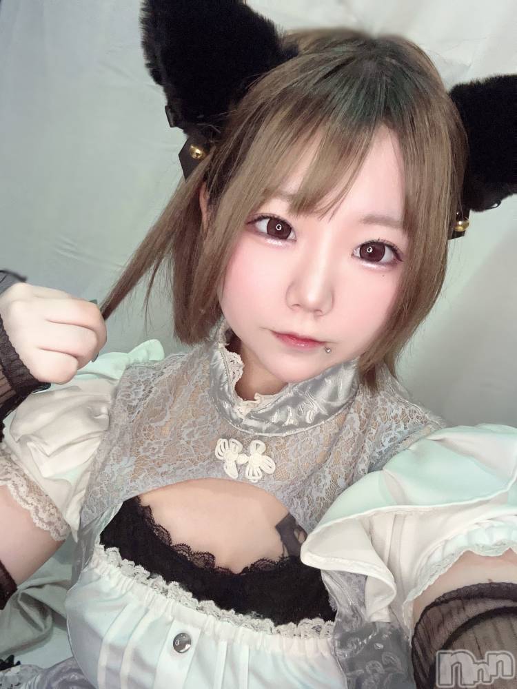 ĮåȥСᥤɥեLINK(ᥤɥե) ޤ221ֿ̥֥٤Ȥ롩