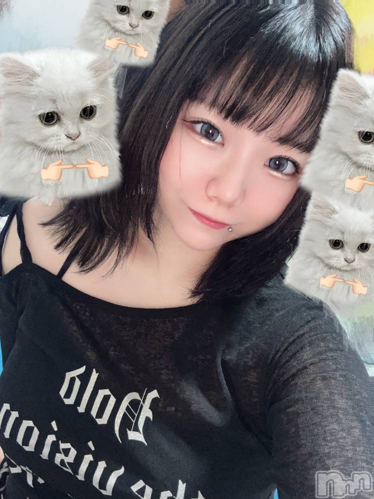 ĮåȥСᥤɥեLINK(ᥤɥե) 椢517̥֥֤ͤ‼️
