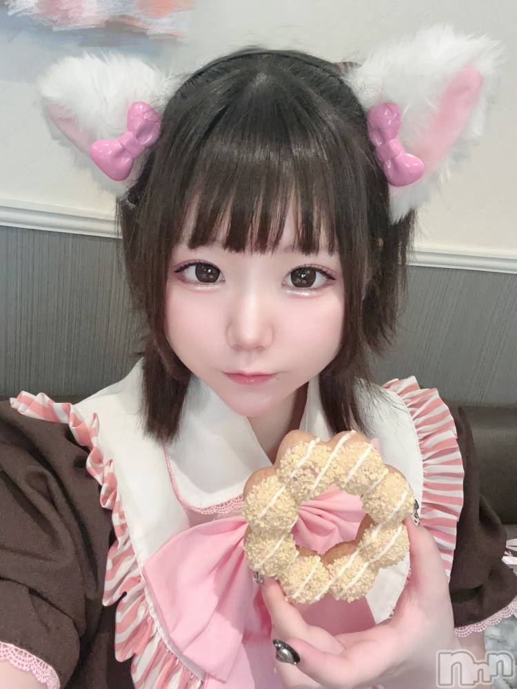 ĮåȥСᥤɥեLINK(ᥤɥե) 椢520̥֥֥ݥ󡦥ǡ󥰤⡻💓