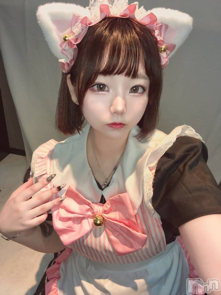 ĮåȥСᥤɥեLINK(ᥤɥե) ޤ816̥֥816 0726ʬΥ֥