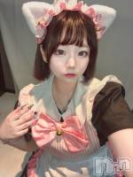 ĮåȥС ᥤɥեLINK(ᥤɥե) ޤ816̥֥816 0726ʬΥ֥