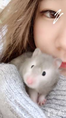 ĮåȥСᥤɥեLINK(ᥤɥե) ޤ511̥֥֤錄Τϡ