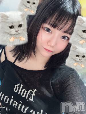 ĮåȥСᥤɥեLINK(ᥤɥե) ޤ517̥֥֤ͤ‼️
