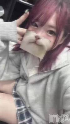 ҤȤ䤷塼塼