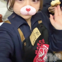 ᥤɥեLINK