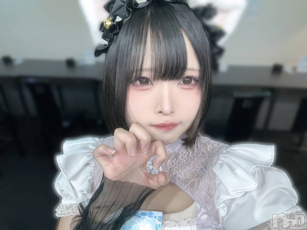 ĮåȥСᥤɥեLINK(ᥤɥե) 줤1112̥֥ޤ🥲