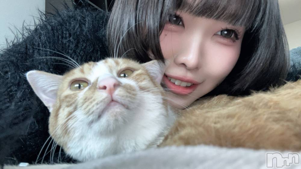 ĮåȥСᥤɥեLINK(ᥤɥե) 줤1122̥֥֤❤︎