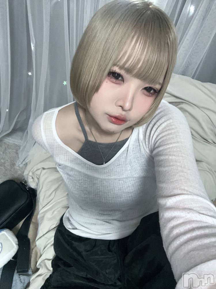 ĮåȥСᥤɥեLINK(ᥤɥե) 줤1224ֽ̥֥ޤꥢ