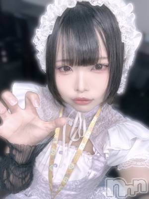 줤(20) Ĺ170cmĮåȥС ᥤɥեLINK(ᥤɥե)ҡ