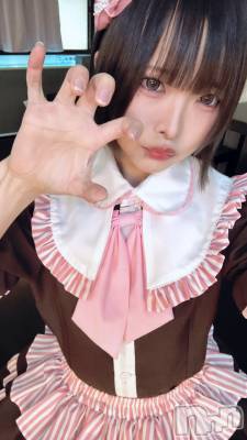 ĮåȥСᥤɥեLINK(ᥤɥե) 줤(20)86ֲֲ̥֥ǥ٥塼ʡ