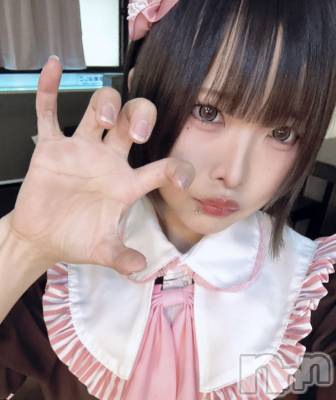 줤(20) Ĺ170cmĮåȥС ᥤɥեLINK(ᥤɥե)ҡ