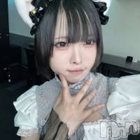 줤(20) Ĺ170cmĮåȥС ᥤɥեLINK(ᥤɥե)ҡ