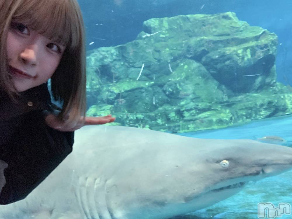 ĮåȥСᥤɥեLINK(ᥤɥե) Ҥʤ36̥֥繥🦈