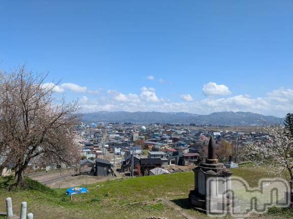 新潟デリヘル五十路マダム新潟店(カサブランカグループ)(イソジマダムニイガタテン) 松山えり(45)の4月12日写メブログ「桜その2」