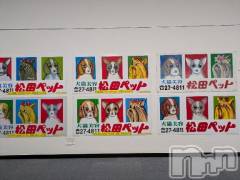 新潟デリヘル五十路マダム新潟店(カサブランカグループ)(イソジマダムニイガタテン) 松山えり(45)の4月10日写メブログ「本日出勤します(*´ω｀*)」