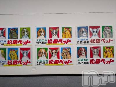 新潟デリヘル 五十路マダム新潟店(カサブランカグループ)(イソジマダムニイガタテン) 松山えり(45)の4月10日写メブログ「本日出勤します(*´ω｀*)」