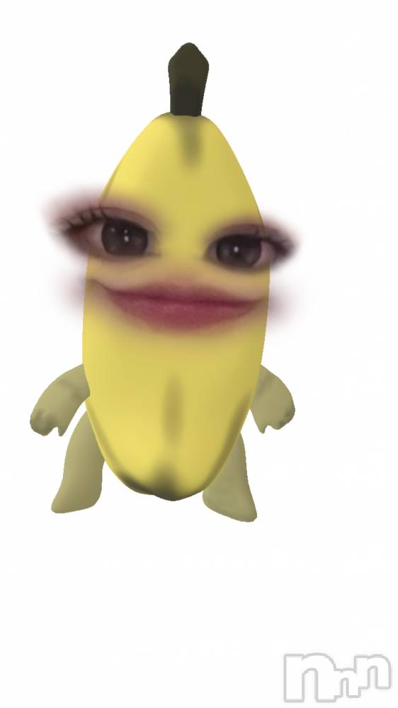 Įʥå륺СL'asile(饸) ߤ628̥֥628 2253ʬΥ֥