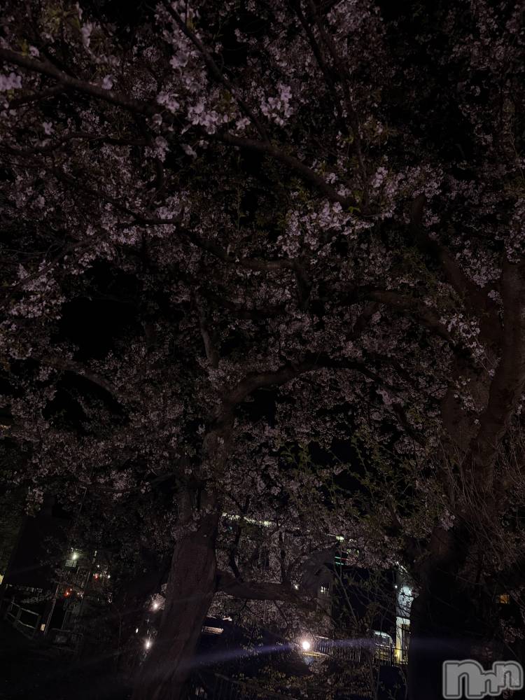 ��Į���ʥå��������륺�С�L'asile(�饸����) �������ߤ�4��12���̥�֥�����4��12�� 21��02ʬ�Υ֥�����