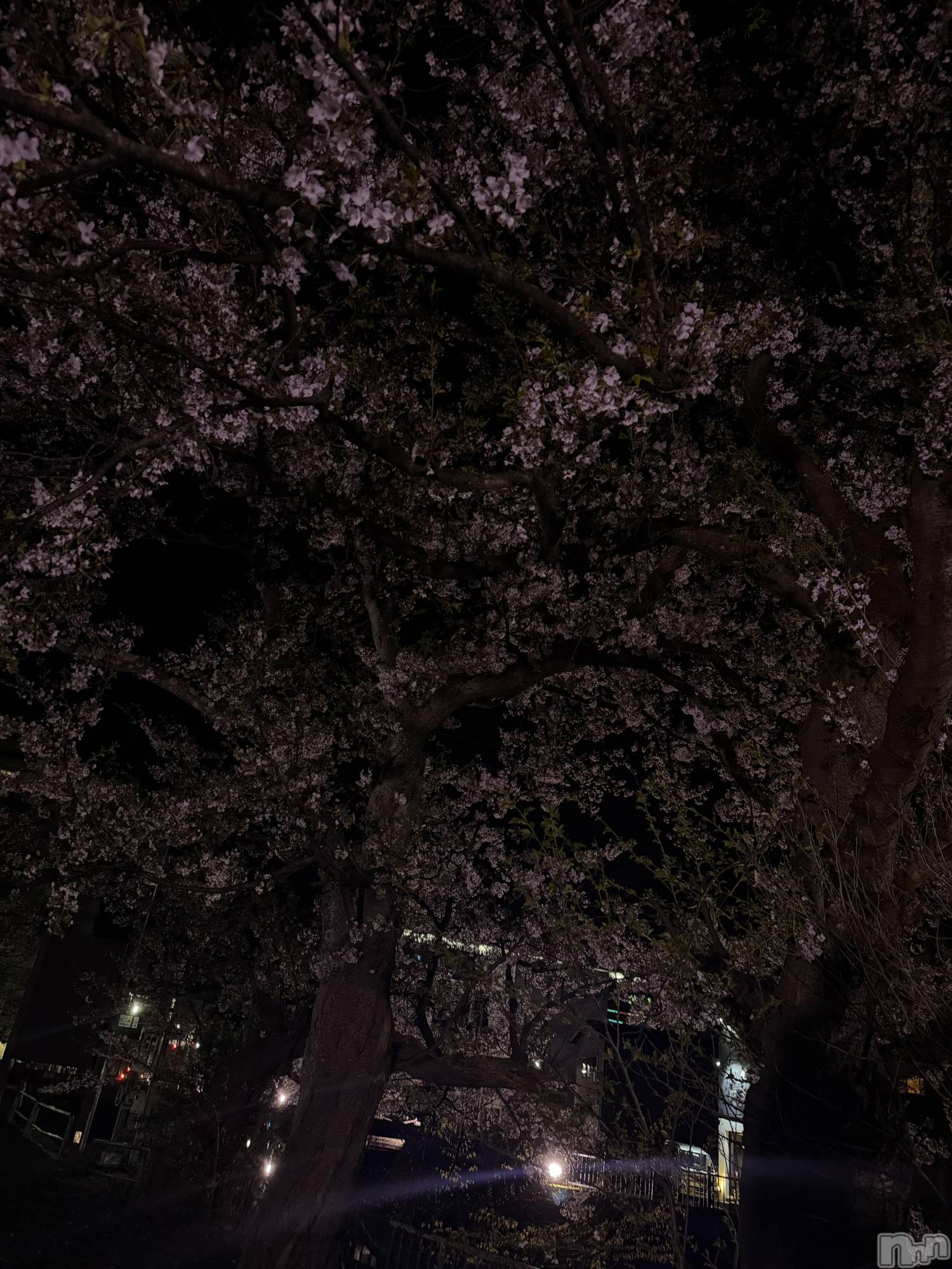 ��Į���ʥå��������륺�С�L'asile(�饸����) ��2026ǯ4��12���̥�֥�����4��12�� 21��02ʬ�Υ֥�����