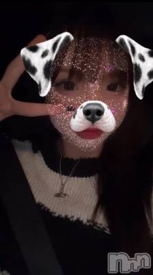 Įʥå륺СL'asile(饸) (20)105̥֥105 2123ʬΥ֥