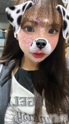 Įʥå륺СL'asile(饸) (20)1019̥֥1019 1859ʬΥ֥