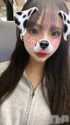 Įʥå륺СL'asile(饸) (20)1020̥֥1020 2046ʬΥ֥