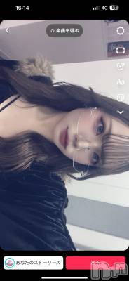 Įʥå륺СL'asile(饸) (20)425̥֥425 2220ʬΥ֥