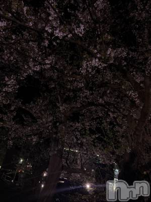 ��Į���ʥå��������륺�С�L'asile(�饸����) ��������(20)��4��12���̥�֥�����4��12�� 21��02ʬ�Υ֥�����