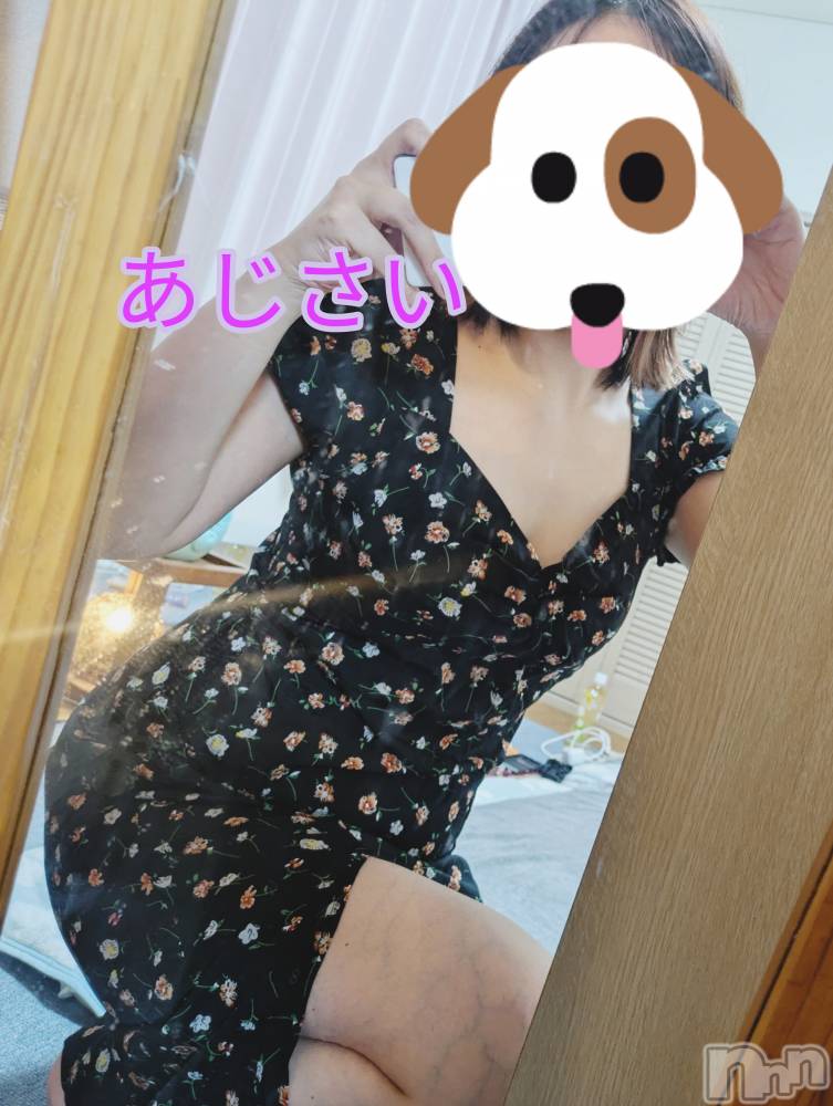 㡦ȯĥꥢ󥺥Ʋ֡(ϥʥϥ) 1115̥֥֤ݤäݤ