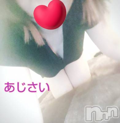 㡦ȯĥꥢ󥺥Ʋ֡(ϥʥϥ) (35)1018̥֥19~