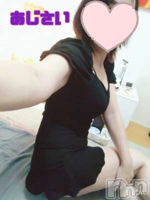 㡦ȯĥꥢ󥺥Ʋ֡(ϥʥϥ) (35)116̥֥īؤϥեҡɬܡ