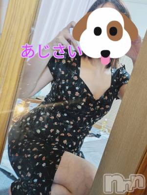 㡦ȯĥꥢ󥺥Ʋ֡(ϥʥϥ) (35)1115̥֥֤ݤäݤ