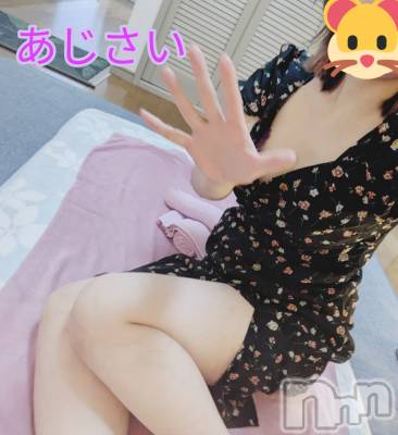 㡦ȯĥꥢ󥺥Ʋ֡(ϥʥϥ) (35)1116̥֥֤꤬Ȥޤ🎀