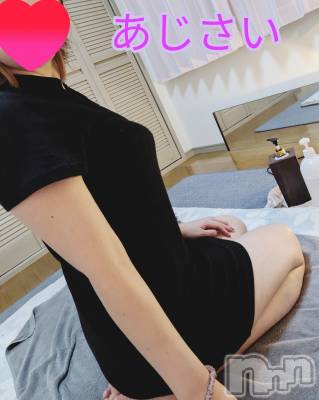 㡦ȯĥꥢ󥺥Ʋ֡(ϥʥϥ) (35)1123̥֥֤Żˡ