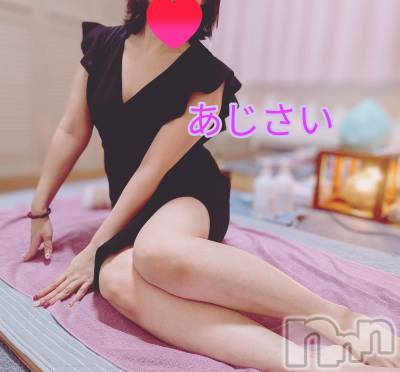 㡦ȯĥꥢ󥺥Ʋ֡(ϥʥϥ) (35)14̥֥֤ޤ2025ǯ