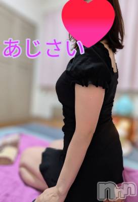 㡦ȯĥꥢ󥺥Ʋ֡(ϥʥϥ) (35)15̥֥Ǥ