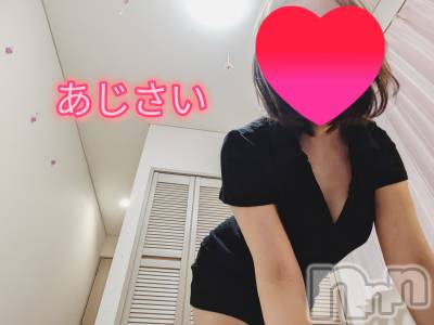 㡦ȯĥꥢ󥺥Ʋ֡(ϥʥϥ) (35)510ֺ̥֥ΤȤϱס