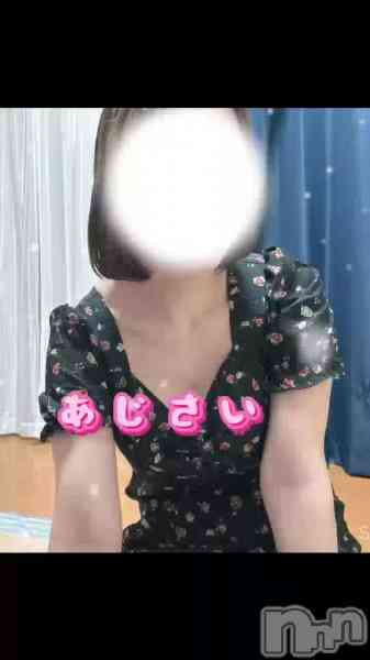 あじさいの動画 今年も改めてよろしくお願いします✨