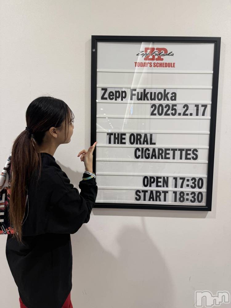 Х顦Club Calnet(֡) ߥ218̥֥Zeppʡ